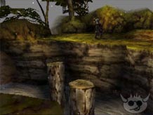 Vagrant Story Review